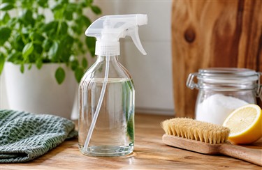 Sprühflasche
