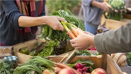 ZeroWasteLifestyle_Foodsharing_500px